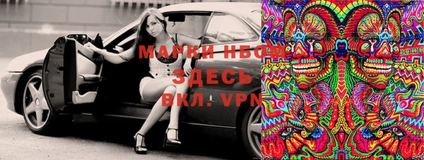 индика Алексин