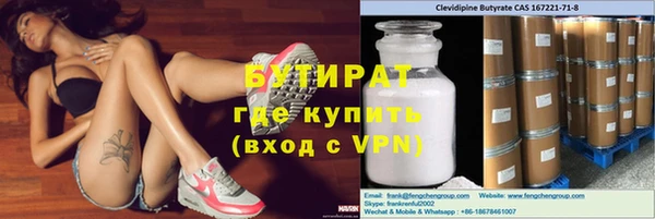индика Алексин
