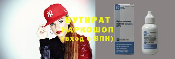 индика Алексин