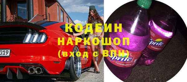 индика Алексин