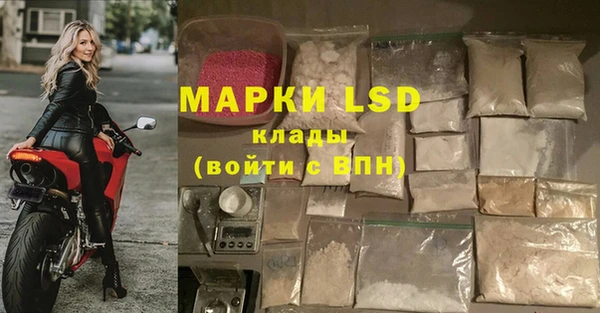 индика Алексин