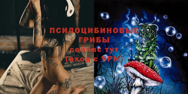 индика Алексин