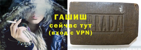 гидра Абаза