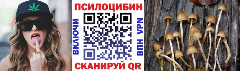 KRAKEN зеркало  Красноармейск  Галлюциногенные грибы MAGIC MUSHROOMS 