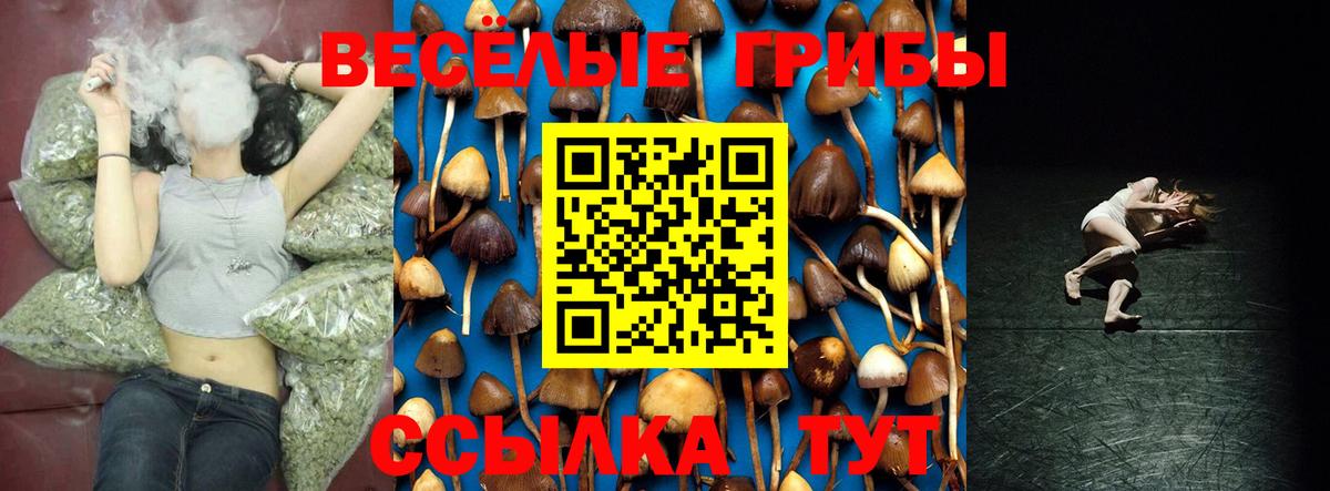 Красноармейск  Галлюциногенные грибы ЛСД  Вход с VPN 
